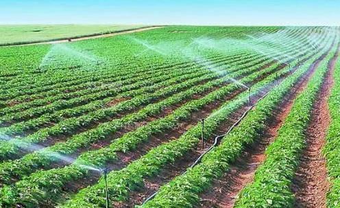 操逼软件鸡巴逼逼农田高 效节水灌溉